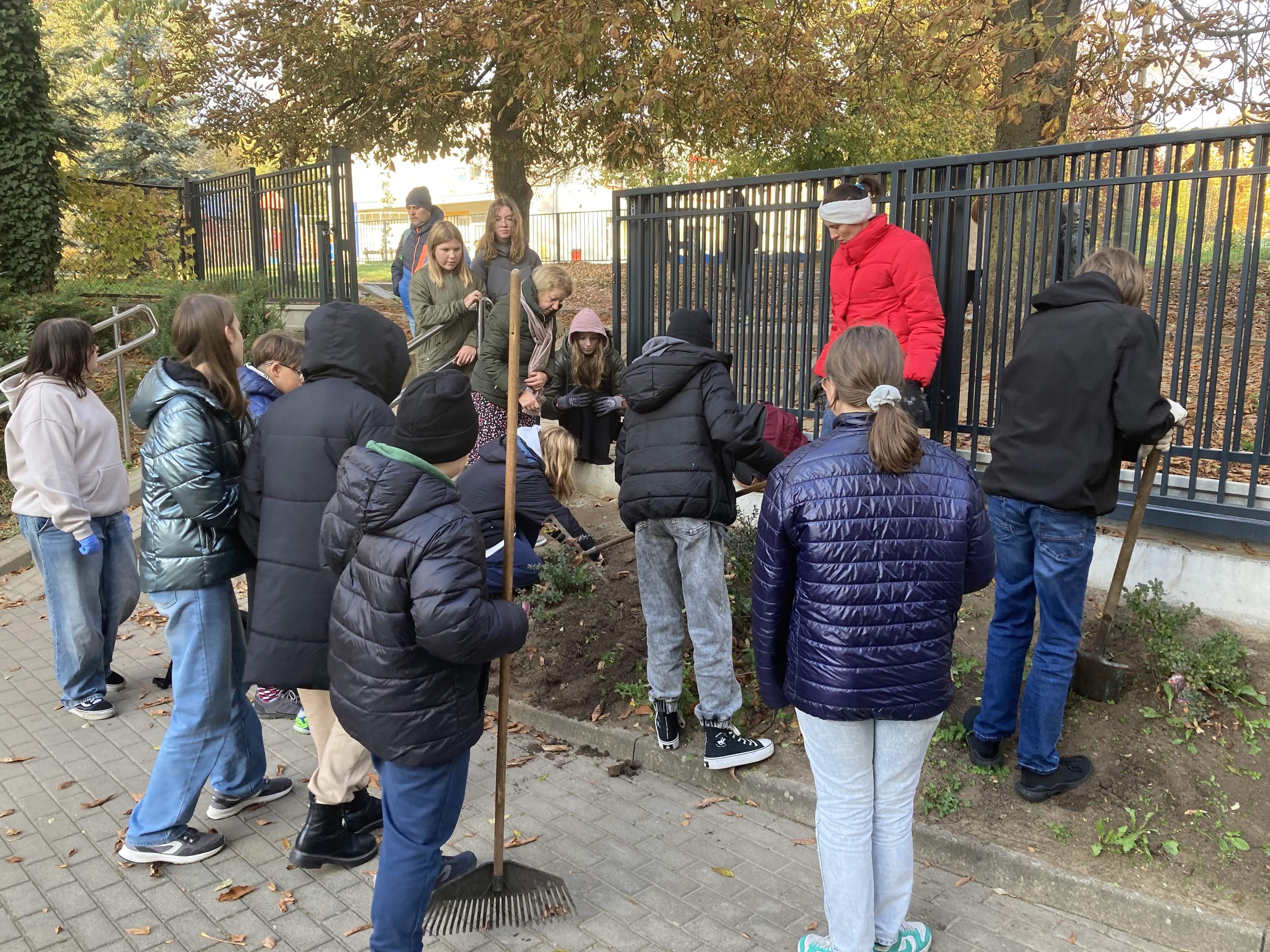 Wolontariusze sadzący żonkile przed budynkiem szkoły przy bramie